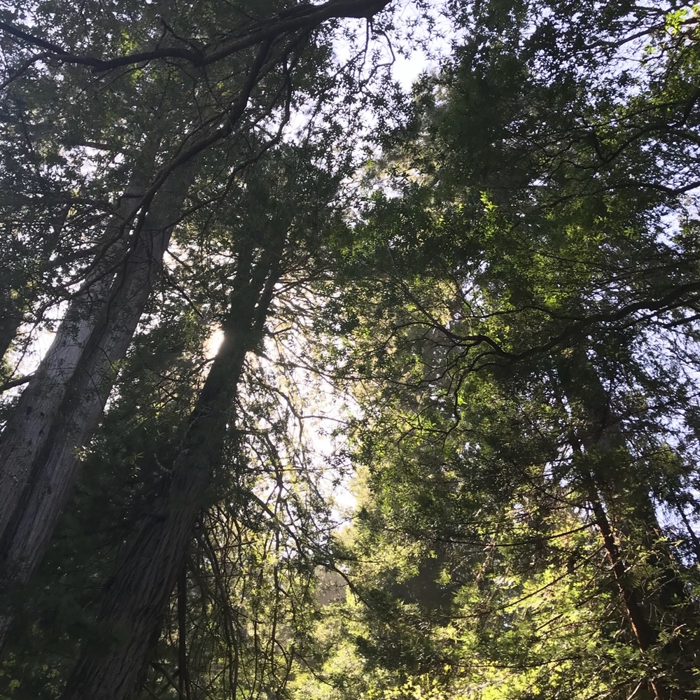 Meet your Posher, Mich